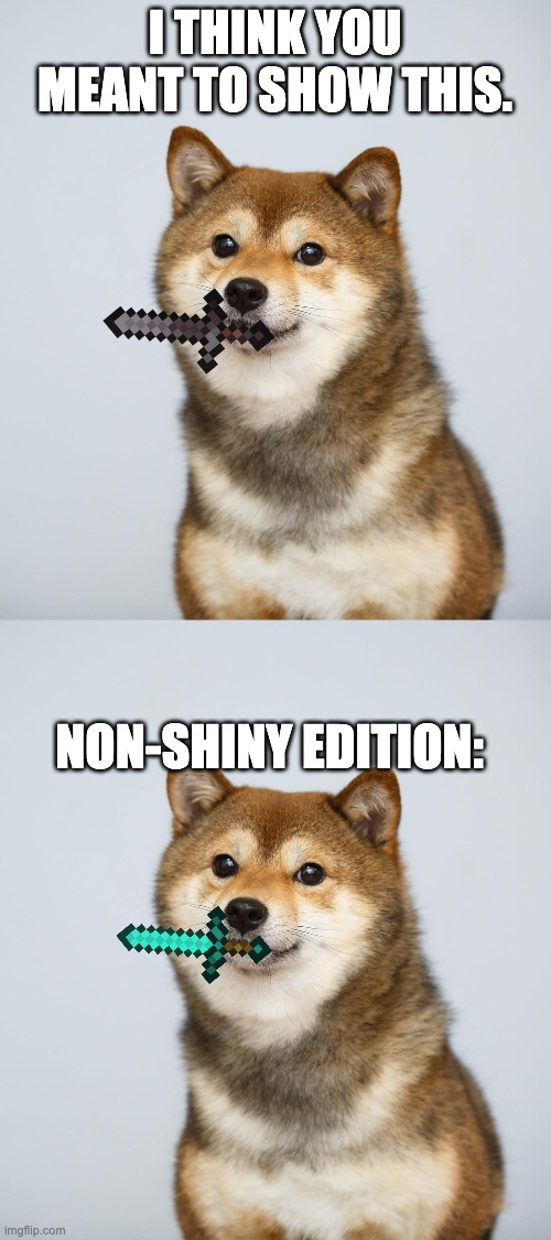 I THINK YOU MEANT TO SHOW THIS. NON-SHINY EDITION: | image tagged in shiba inu | made w/ Imgflip meme maker