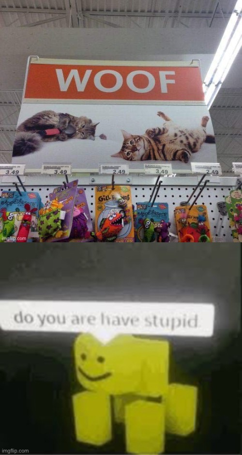 How stupid was this dude | image tagged in do you are have stupid | made w/ Imgflip meme maker