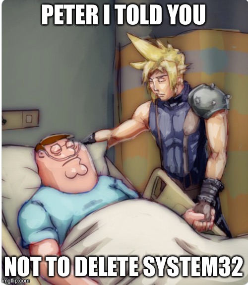PETER I TOLD YOU | PETER I TOLD YOU NOT TO DELETE SYSTEM32 | image tagged in peter i told you | made w/ Imgflip meme maker