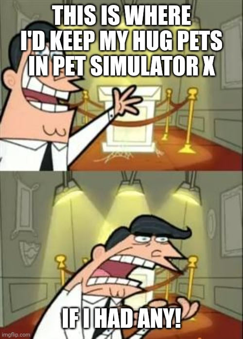 This Is Where I'd Put My Trophy If I Had One | THIS IS WHERE I'D KEEP MY HUG PETS IN PET SIMULATOR X; IF I HAD ANY! | image tagged in memes,this is where i'd put my trophy if i had one,roblox | made w/ Imgflip meme maker