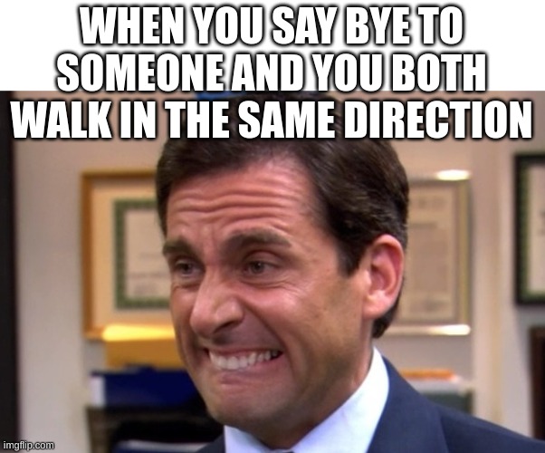 we all hate this | WHEN YOU SAY BYE TO SOMEONE AND YOU BOTH WALK IN THE SAME DIRECTION | image tagged in cringe | made w/ Imgflip meme maker