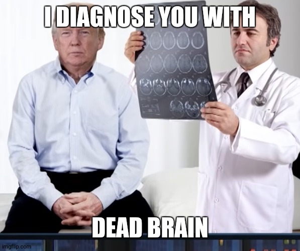 diagnoses | I DIAGNOSE YOU WITH; DEAD BRAIN | image tagged in diagnoses | made w/ Imgflip meme maker