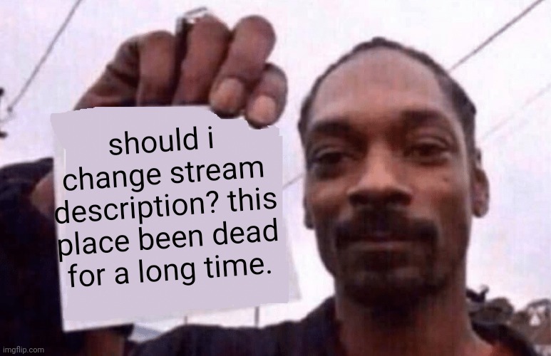now, i wait till someone comments | should i change stream description? this place been dead for a long time. | image tagged in snoop holding a paper | made w/ Imgflip meme maker