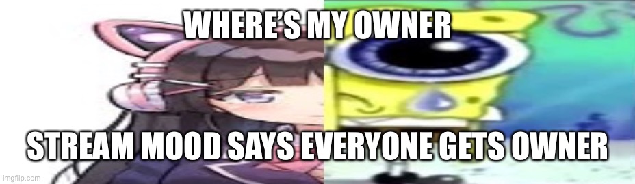 Idiot note: ITS AN APRIL FOOLS JOKE, YOU TOE-EYED CABBAGE | WHERE’S MY OWNER; STREAM MOOD SAYS EVERYONE GETS OWNER | image tagged in lol | made w/ Imgflip meme maker