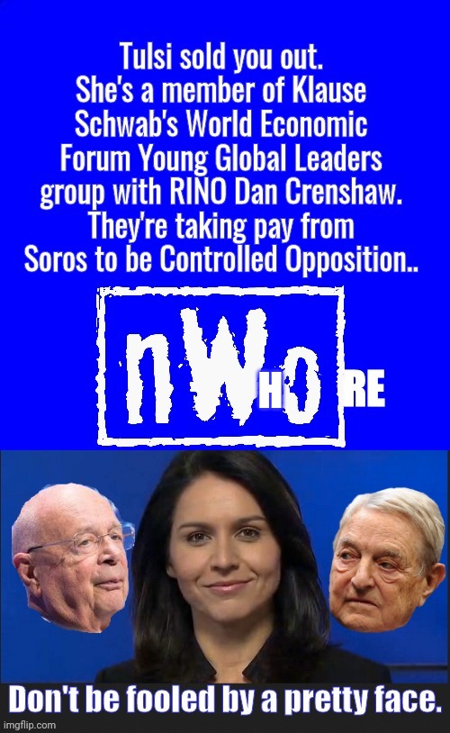 Tulsi Gabbard NWO ho WEF plant | H | image tagged in shady | made w/ Imgflip meme maker