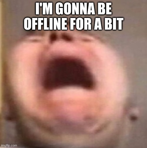 . | I'M GONNA BE OFFLINE FOR A BIT | made w/ Imgflip meme maker