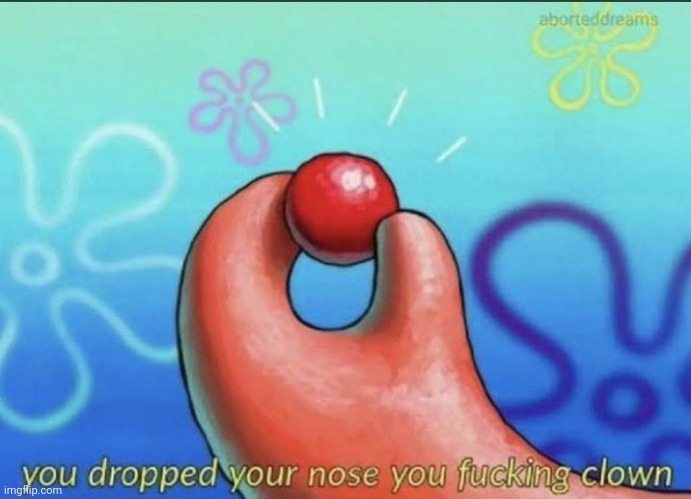 Dropped your nose | image tagged in dropped your nose | made w/ Imgflip meme maker