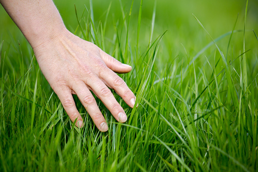 High Quality touch grass Blank Meme Template