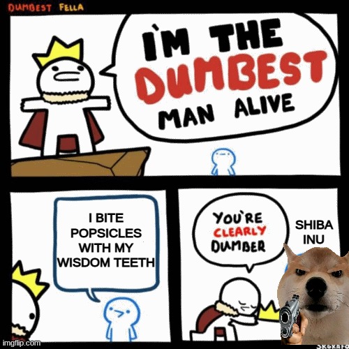 I'm the dumbest man alive | I BITE POPSICLES WITH MY WISDOM TEETH; SHIBA INU | image tagged in i'm the dumbest man alive | made w/ Imgflip meme maker