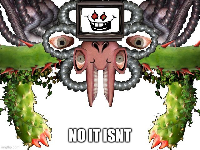 Omega Flowey | NO IT ISNT | image tagged in omega flowey | made w/ Imgflip meme maker