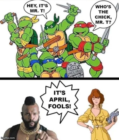 I pity the Teenage Mutant Ninja Turtles | image tagged in teenage mutant ninja turtles,mr t pity the fool,april fools day | made w/ Imgflip meme maker