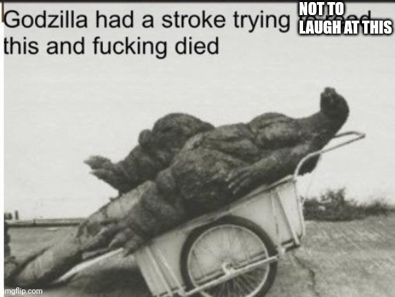 Godzilla | NOT TO LAUGH AT THIS | image tagged in godzilla | made w/ Imgflip meme maker