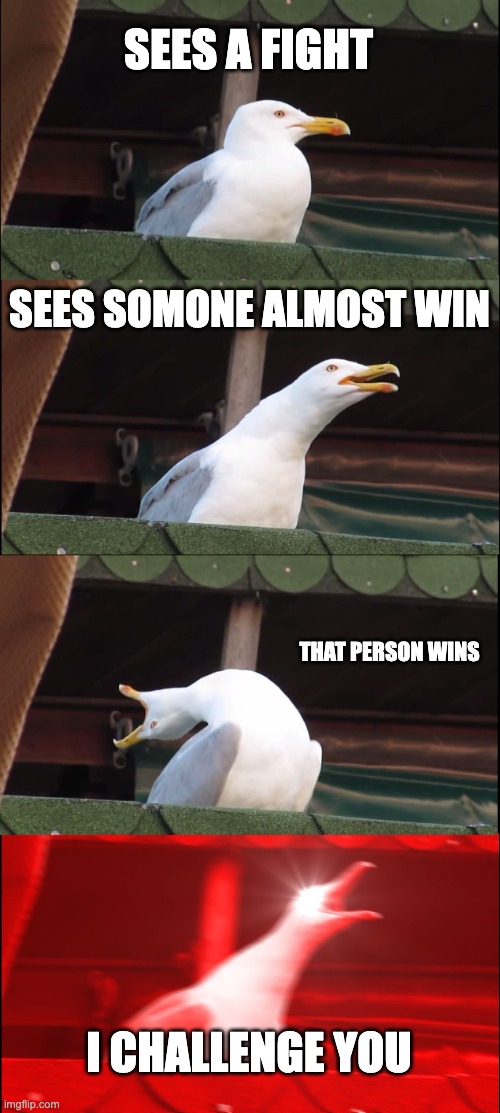 the meme fight | SEES A FIGHT; SEES SOMONE ALMOST WIN; THAT PERSON WINS; I CHALLENGE YOU | image tagged in memes,inhaling seagull | made w/ Imgflip meme maker