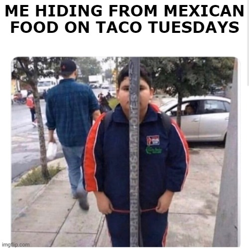 hiding from mexican food | ME HIDING FROM MEXICAN FOOD ON TACO TUESDAYS | image tagged in hiding in plain sight,tacos,mexican food | made w/ Imgflip meme maker