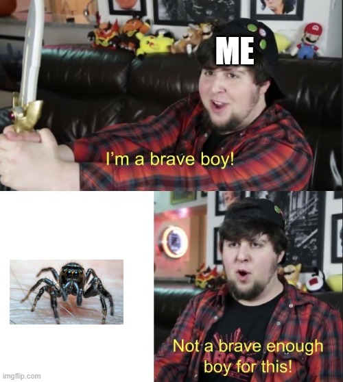 This is so me except im a girl | ME | image tagged in im a brave boy | made w/ Imgflip meme maker