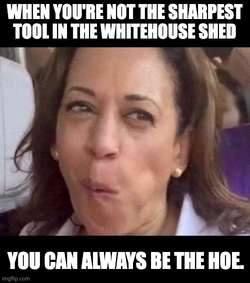 Not exactly sharp, but... | WHEN YOU'RE NOT THE SHARPEST TOOL IN THE WHITEHOUSE SHED; YOU CAN ALWAYS BE THE HOE. | image tagged in kamala harris | made w/ Imgflip meme maker