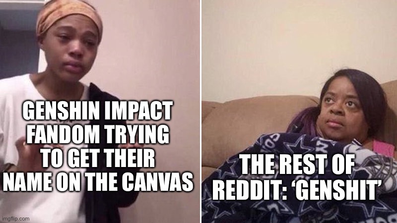 Me explaining to my mom | GENSHIN IMPACT FANDOM TRYING TO GET THEIR NAME ON THE CANVAS; THE REST OF REDDIT: ‘GENSHIT’ | image tagged in me explaining to my mom | made w/ Imgflip meme maker