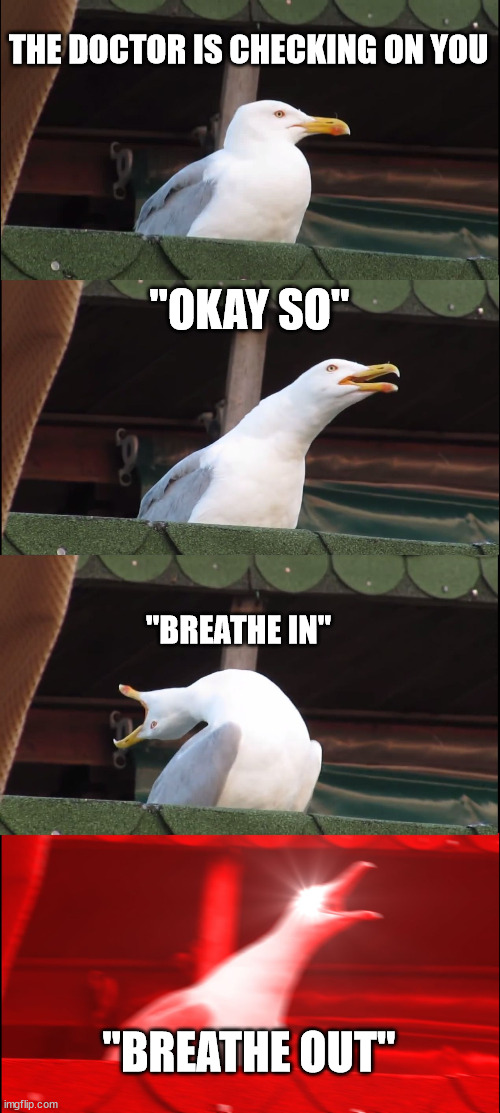 Inhaling Seagull Meme | THE DOCTOR IS CHECKING ON YOU; "OKAY SO"; "BREATHE IN"; "BREATHE OUT" | image tagged in memes,inhaling seagull | made w/ Imgflip meme maker