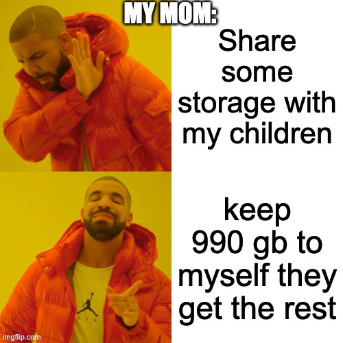Drake Hotline Bling Meme | MY MOM:; Share some storage with my children; keep 990 gb to myself they get the rest | image tagged in memes,drake hotline bling | made w/ Imgflip meme maker