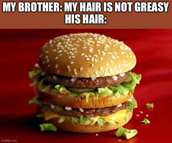 big mac | MY BROTHER: MY HAIR IS NOT GREASY
HIS HAIR: | image tagged in big mac | made w/ Imgflip meme maker