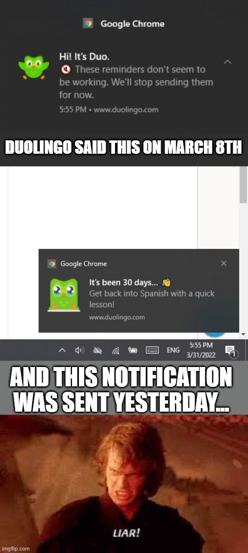 I was lied to... | DUOLINGO SAID THIS ON MARCH 8TH; AND THIS NOTIFICATION WAS SENT YESTERDAY... | image tagged in anakin liar,duolingo,die,why are you still alive | made w/ Imgflip meme maker