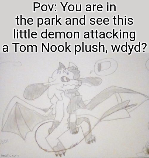 (No ERP or romance, joke is fine) | Pov: You are in the park and see this little demon attacking a Tom Nook plush, wdyd? | image tagged in demon | made w/ Imgflip meme maker
