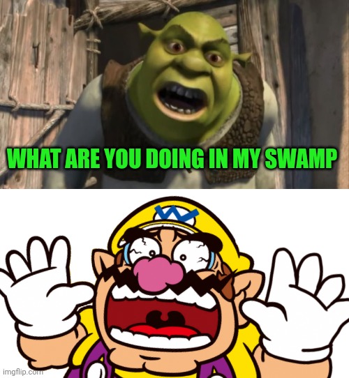 Wario dies by visiting Shrek's Swamp.mp3 | WHAT ARE YOU DOING IN MY SWAMP | image tagged in wario dies,wario,shrek,ogre,dreamworks,swamp | made w/ Imgflip meme maker