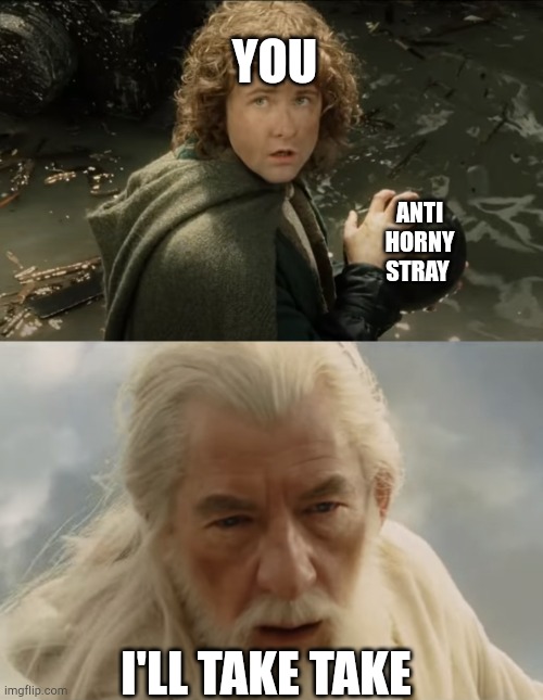 pippin gandalf i'll take that my lad | YOU I'LL TAKE TAKE ANTI HORNY STRAY | image tagged in pippin gandalf i'll take that my lad | made w/ Imgflip meme maker