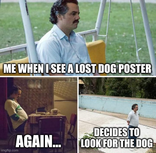 Sad Pablo Escobar | ME WHEN I SEE A LOST DOG POSTER; AGAIN... DECIDES TO LOOK FOR THE DOG | image tagged in memes,sad pablo escobar | made w/ Imgflip meme maker