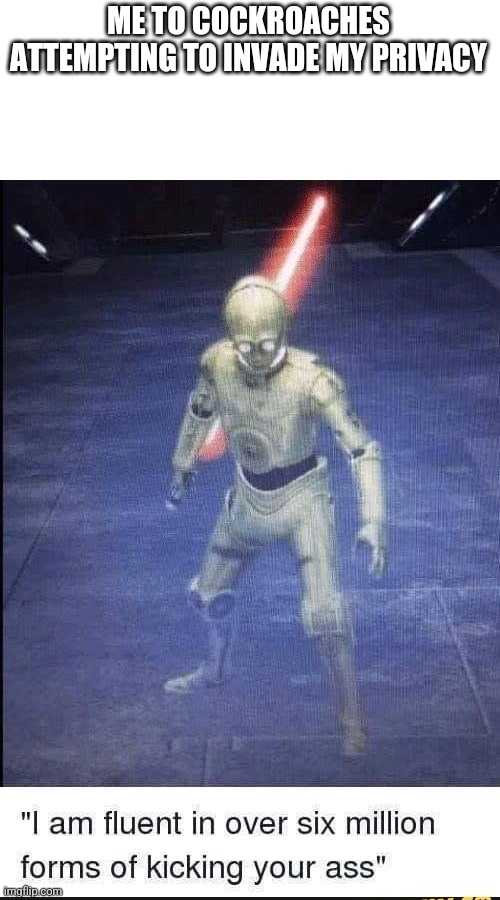 I Am Fluent In Over Six Million Forms Of Kicking Your Ass | ME TO COCKROACHES ATTEMPTING TO INVADE MY PRIVACY | image tagged in i am fluent in over six million forms of kicking your ass | made w/ Imgflip meme maker