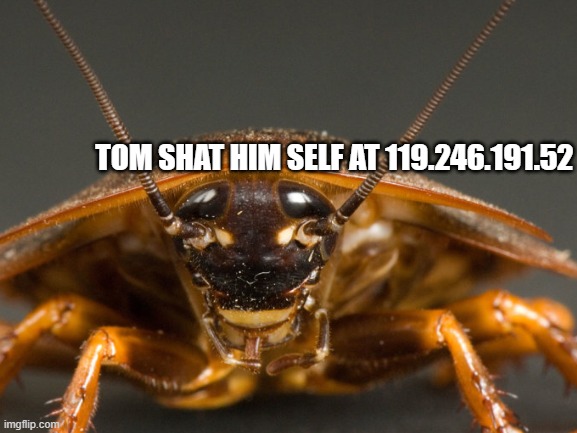 . | TOM SHAT HIM SELF AT 119.246.191.52 | image tagged in f,u,c,k | made w/ Imgflip meme maker