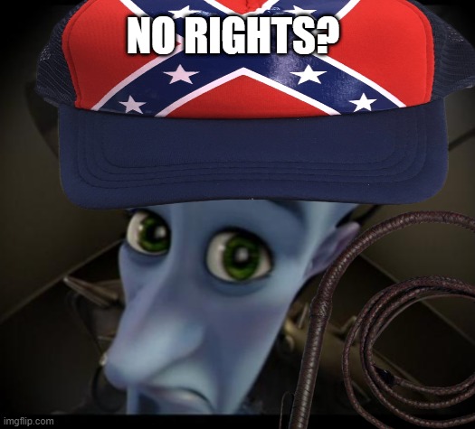 No rights? | NO RIGHTS? | image tagged in dark humor,no bitches,funny memes,oh wow are you actually reading these tags,stop reading the tags | made w/ Imgflip meme maker