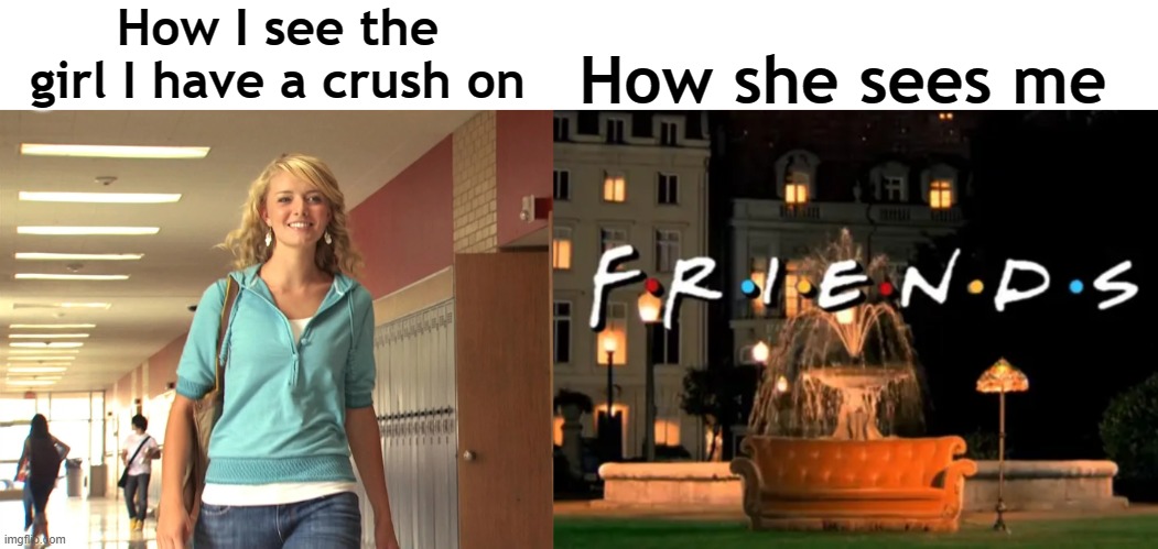 Brutal, but honest | How I see the girl I have a crush on; How she sees me | image tagged in crush,friends,friendzone | made w/ Imgflip meme maker