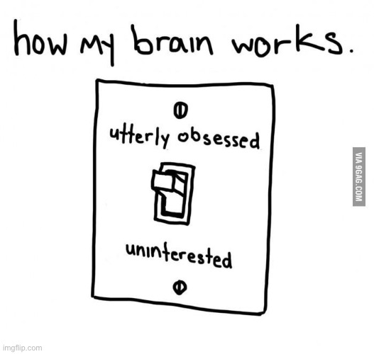 how my brain works | image tagged in how my brain works | made w/ Imgflip meme maker