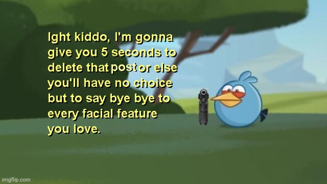 A random bird-related meme template I came across on Imgflip | image tagged in ight kiddo clean | made w/ Imgflip meme maker