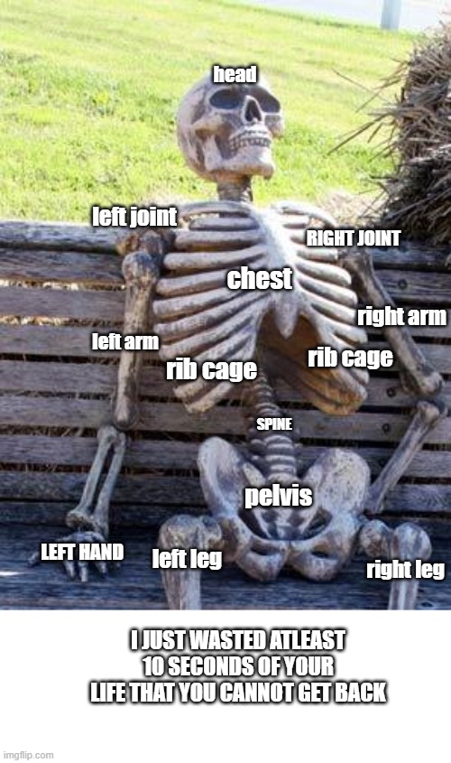 Waiting Skeleton | head; left joint; RIGHT JOINT; chest; right arm; left arm; rib cage; rib cage; SPINE; pelvis; LEFT HAND; left leg; right leg; I JUST WASTED ATLEAST 10 SECONDS OF YOUR LIFE THAT YOU CANNOT GET BACK | image tagged in memes,waiting skeleton | made w/ Imgflip meme maker
