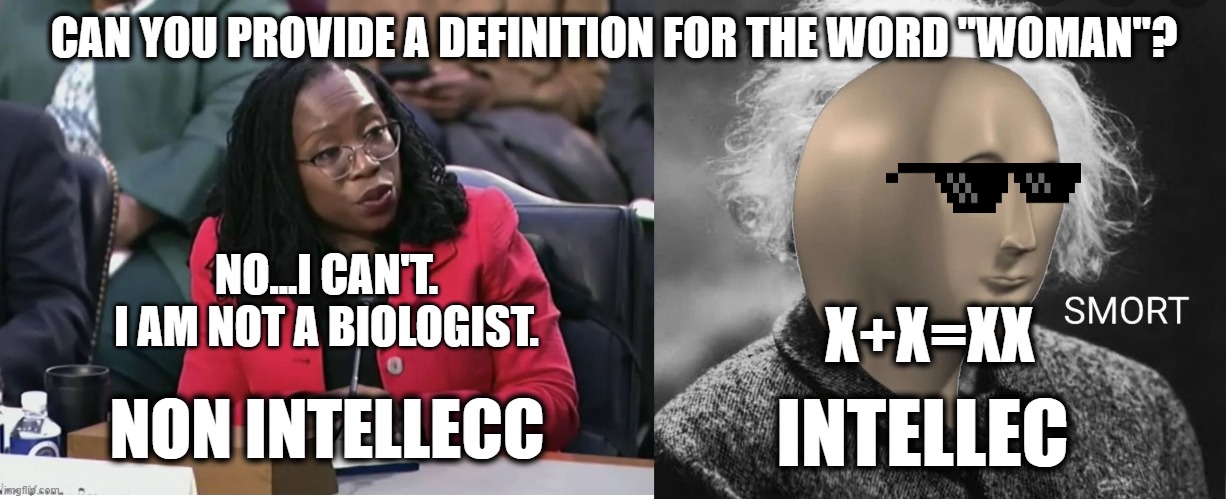 Genius Smort 2 | CAN YOU PROVIDE A DEFINITION FOR THE WORD "WOMAN"? NO...I CAN'T.
I AM NOT A BIOLOGIST. X+X=XX; INTELLEC; NON INTELLECC | image tagged in memes,funny,gender identity,political meme,smort,biology | made w/ Imgflip meme maker