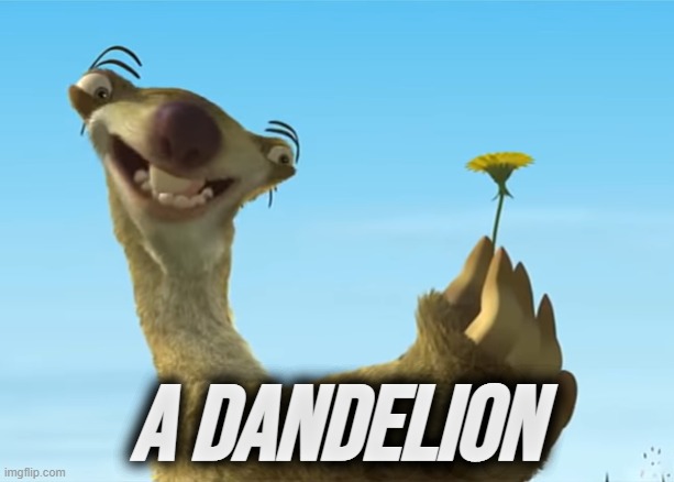 sid the sloth | A DANDELION | image tagged in rmk | made w/ Imgflip meme maker