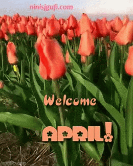 [Image: 6b3kle.gif]