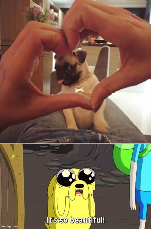 image tagged in adventure time | made w/ Imgflip meme maker