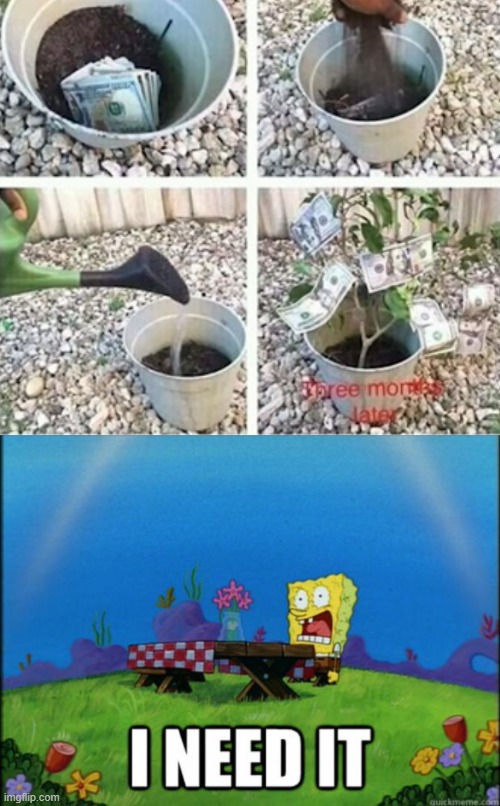 image tagged in spongebob i need it | made w/ Imgflip meme maker