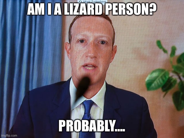  AM I A LIZARD PERSON? PROBABLY…. | image tagged in mark zuckerberg,shapeshifting lizard | made w/ Imgflip meme maker