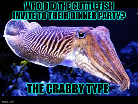 That Cuttlefish | WHO DID THE CUTTLEFISH INVITE TO THEIR DINNER PARTY? THE CRABBY TYPE | image tagged in that cuttlefish | made w/ Imgflip meme maker