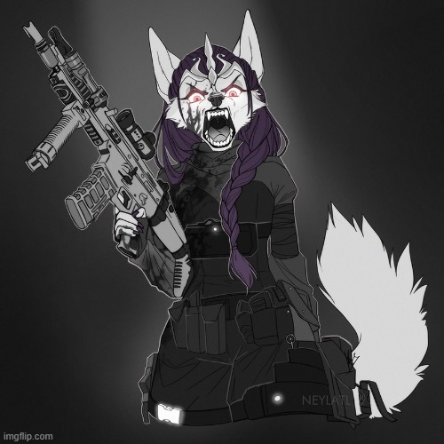 Furry soldier | image tagged in furry soldier | made w/ Imgflip meme maker