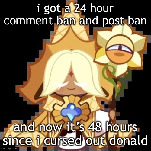 LMFOAOAOAOSOSODYFGGFGRGF | i got a 24 hour comment ban and post ban; and now it’s 48 hours since i cursed out donald | image tagged in purevanilla | made w/ Imgflip meme maker
