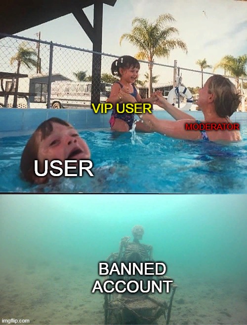 People in the roblox | VIP USER; MODERATOR; USER; BANNED ACCOUNT | image tagged in mother ignoring kid drowning in a pool,users,imgflip users | made w/ Imgflip meme maker