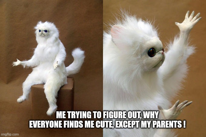 Not cute for parents |  ME TRYING TO FIGURE OUT, WHY EVERYONE FINDS ME CUTE, EXCEPT MY PARENTS ! | image tagged in memes,persian cat room guardian,cute | made w/ Imgflip meme maker