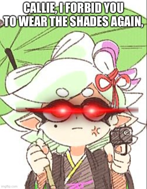 calamari | CALLIE, I FORBID YOU TO WEAR THE SHADES AGAIN, | image tagged in marie with a gun | made w/ Imgflip meme maker