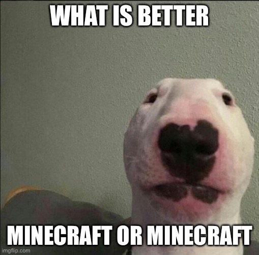 Staring Forward Dog | WHAT IS BETTER MINECRAFT OR MINECRAFT | image tagged in staring forward dog | made w/ Imgflip meme maker