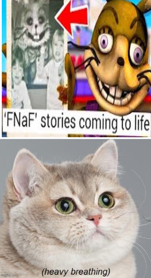 Please no | image tagged in memes,heavy breathing cat,fnaf,chuck e cheese,no no no,barney will eat all of your delectable biscuits | made w/ Imgflip meme maker